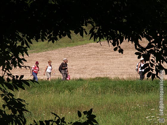 Randonneurs, pendant la marche des Mille pattes , le 2 septembre 2007.